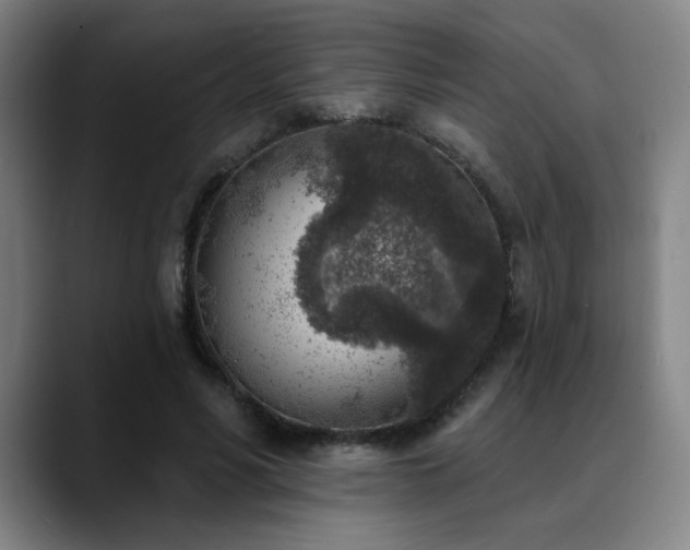 X0000089340590200706151045