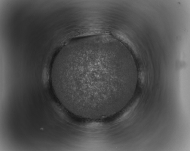 X0000089340593200706151045