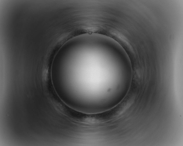X0000089340596200706151045