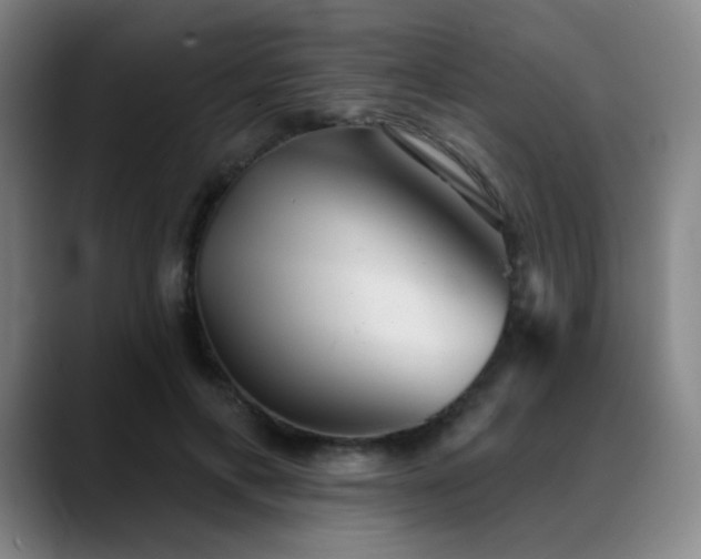X0000089340597200706151045