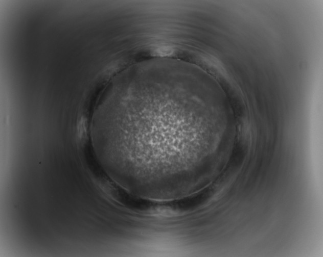 X0000089340598200706151045
