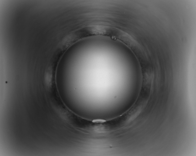 X0000089340600200706151045