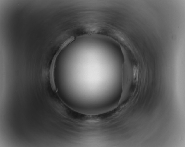 X0000089340601200706151045