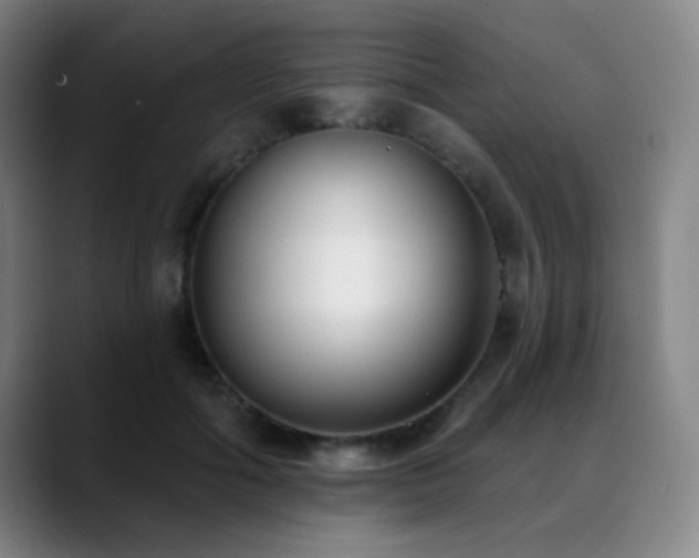 X0000089340602200706151045