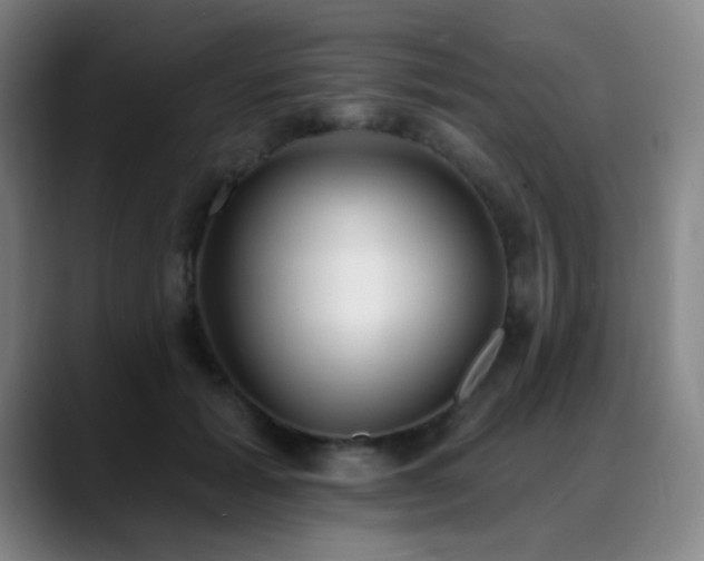 X0000089340605200706151045