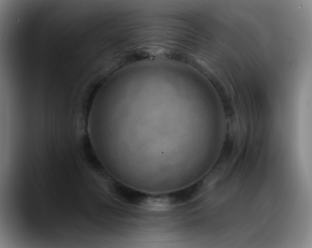 X0000089340606200706151045
