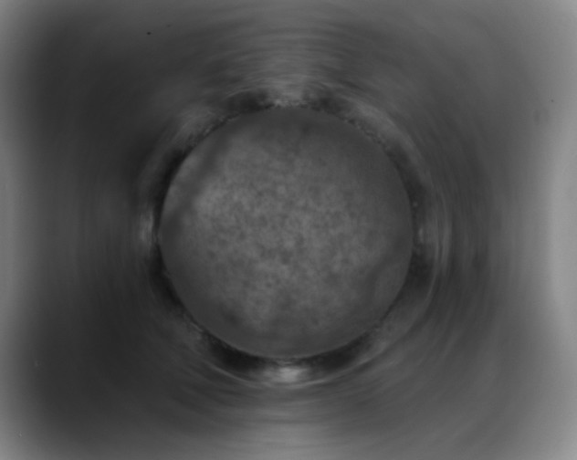 X0000089340610200706151045