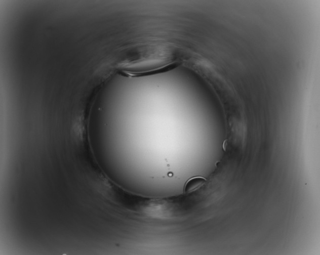X0000089340612200706151044