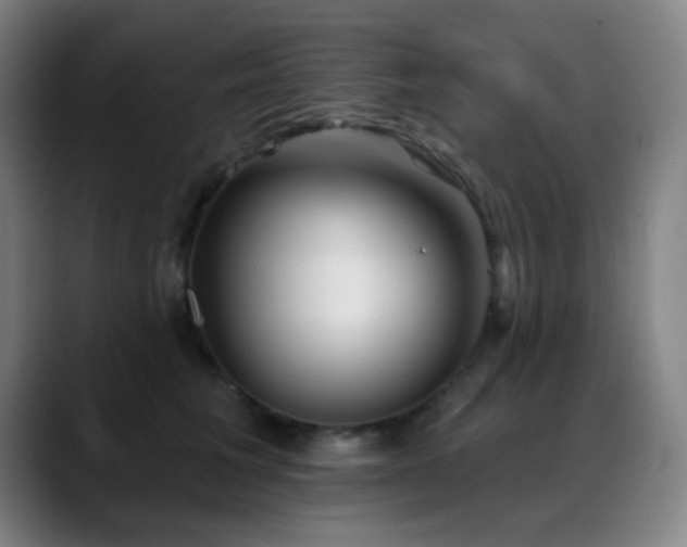X0000089340613200706151044