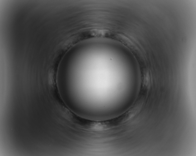 X0000089340616200706151044