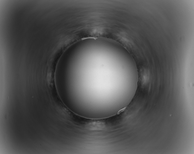 X0000089340619200706151044