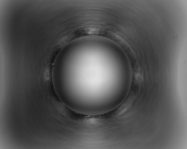 X0000089340620200706151044