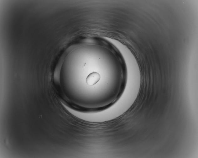 X0000089340621200706151044