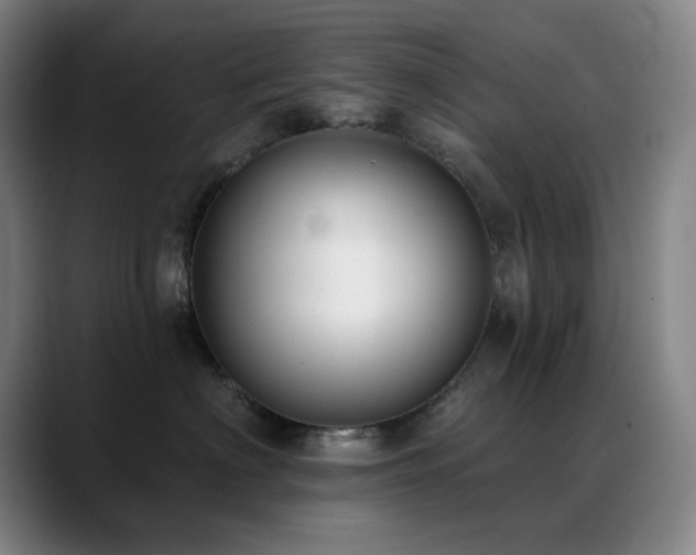 X0000089340622200706151044