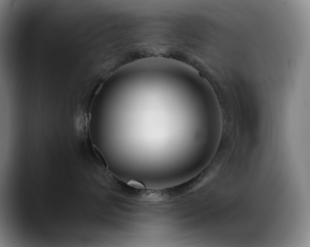 X0000089340624200706151044
