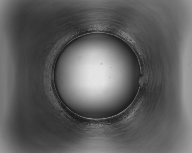 X0000089340625200706151044