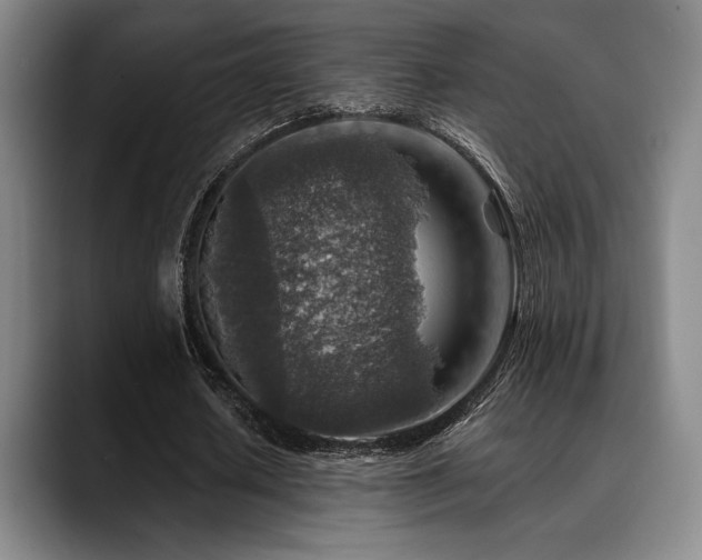 X0000089340626200706151044