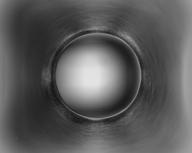 X0000089340628200706151044