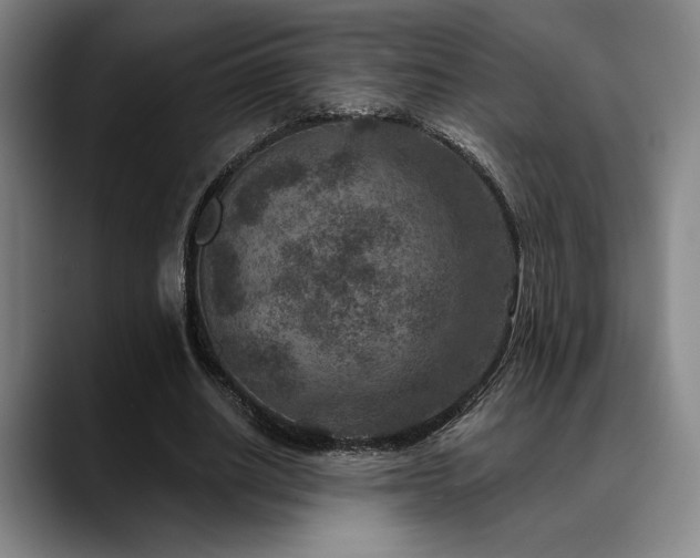 X0000089340630200706151044