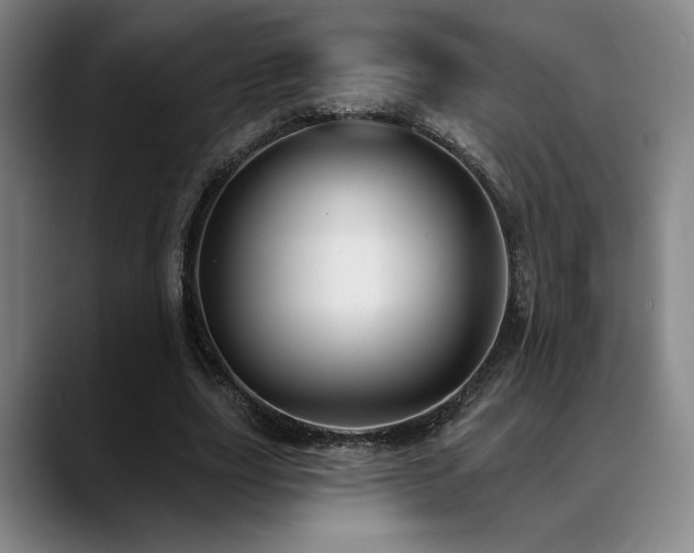 X0000089340631200706151044