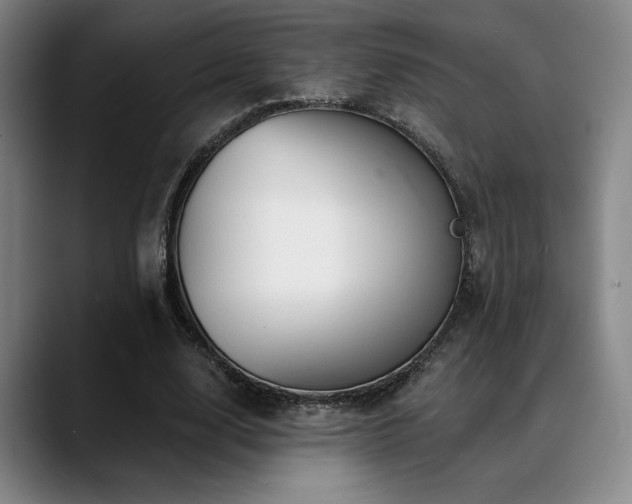 X0000089340632200706151044