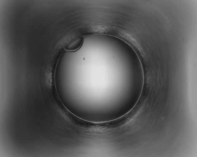 X0000089340633200706151044