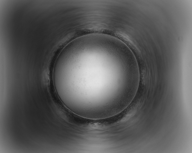 X0000089340634200706151044