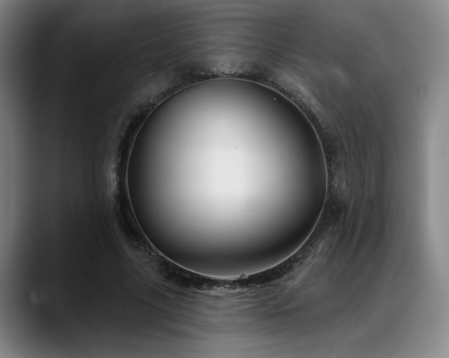X0000089340635200706151044