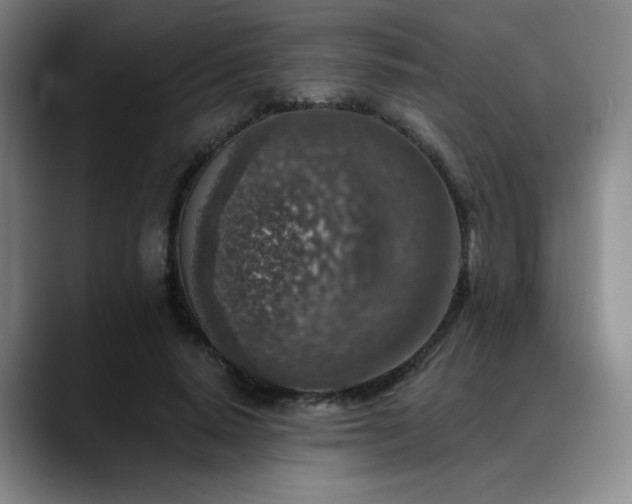 X0000089340640200706151044