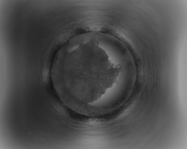 X0000089340641200706151044
