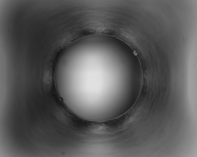 X0000089340642200706151044