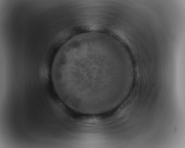 X0000089340643200706151044