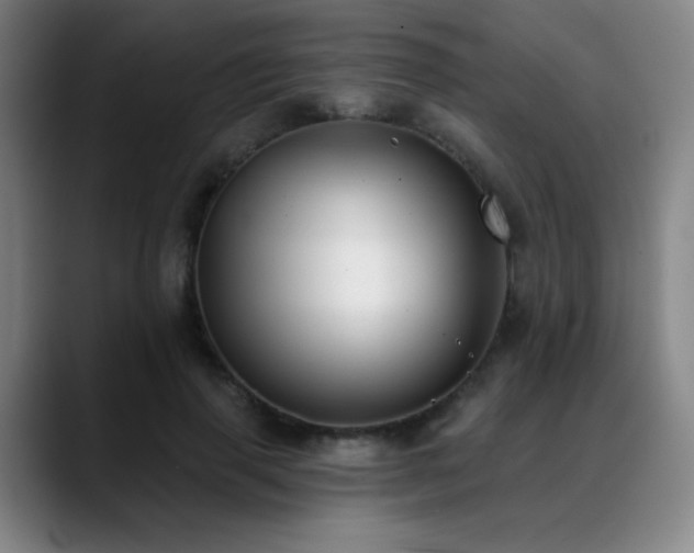 X0000089340645200706151044