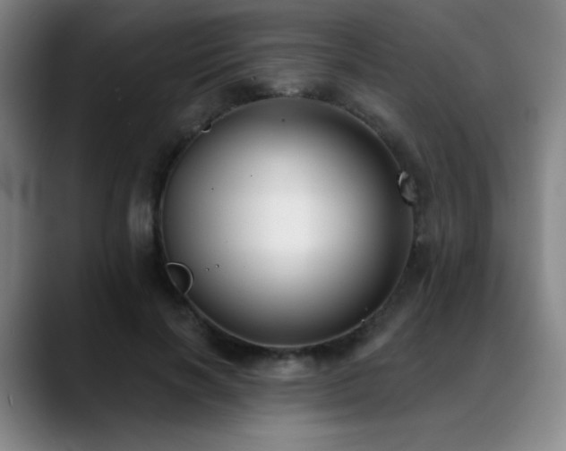 X0000089340646200706151044
