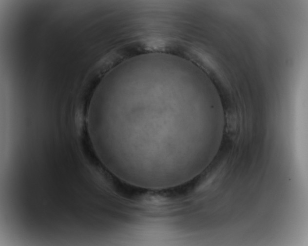 X0000089340648200706151044