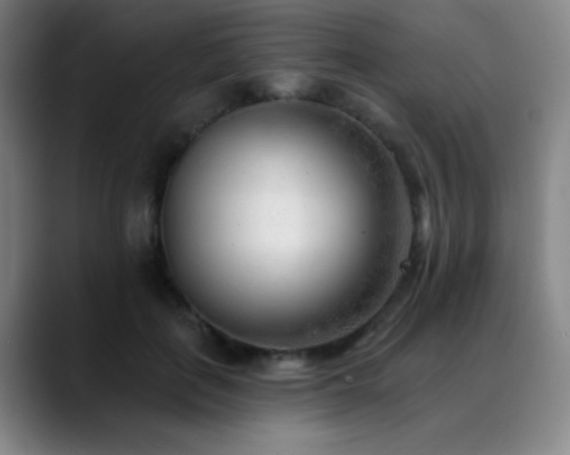X0000089340651200706151044