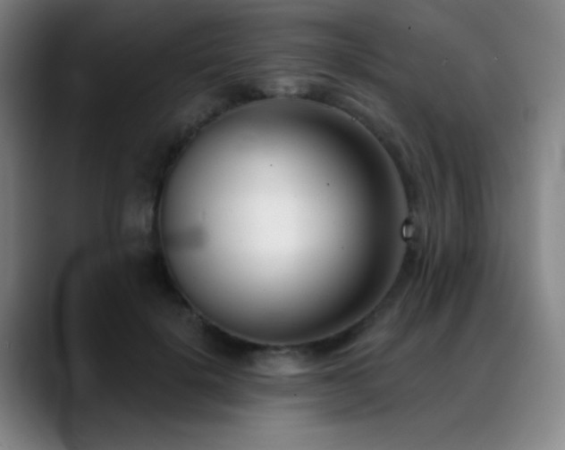 X0000089340652200706151044