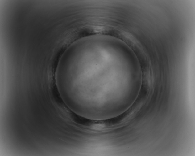 X0000089340653200706151044