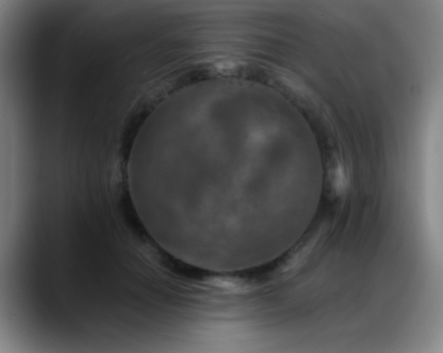 X0000089340654200706151044