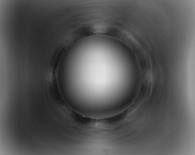 X0000089340655200706151044