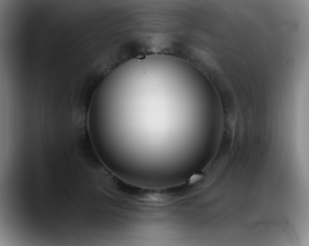 X0000089340657200706151044