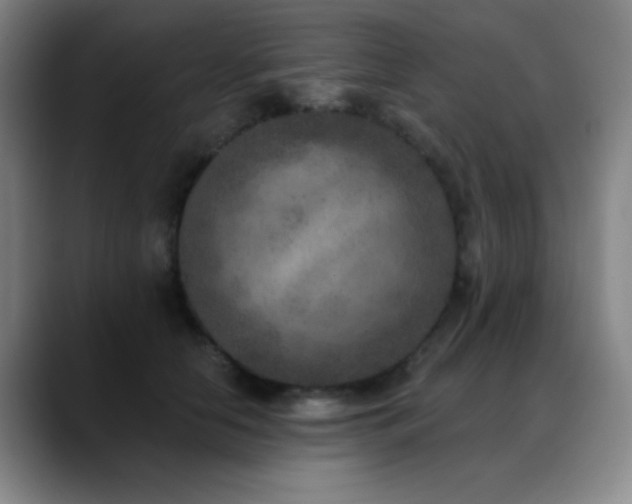 X0000089340658200706151044