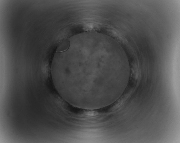 X0000089340659200706151044
