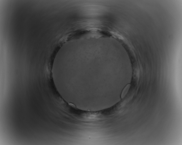 X0000089340661200706151044