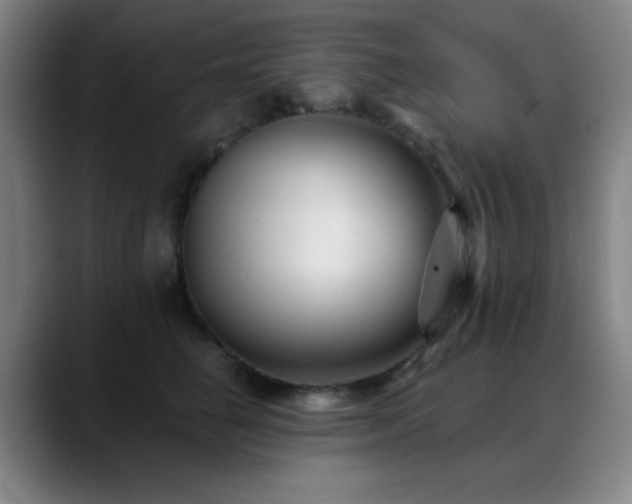 X0000089340662200706151044