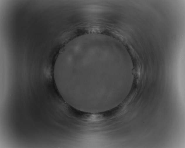 X0000089340663200706151044