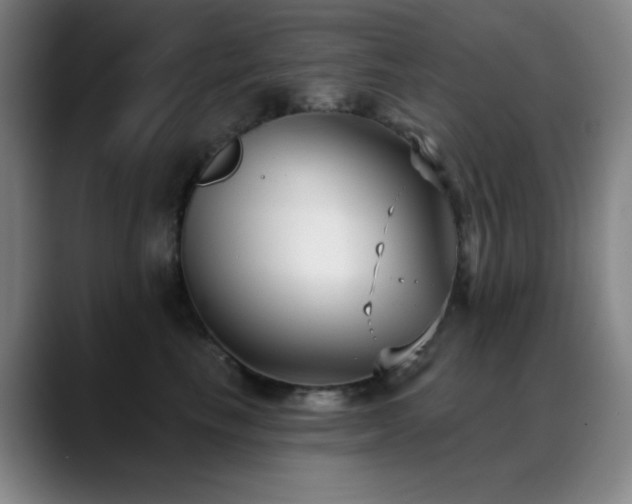 X0000089340665200706151044