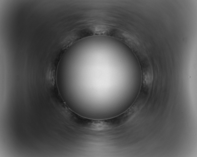 X0000089340666200706151044
