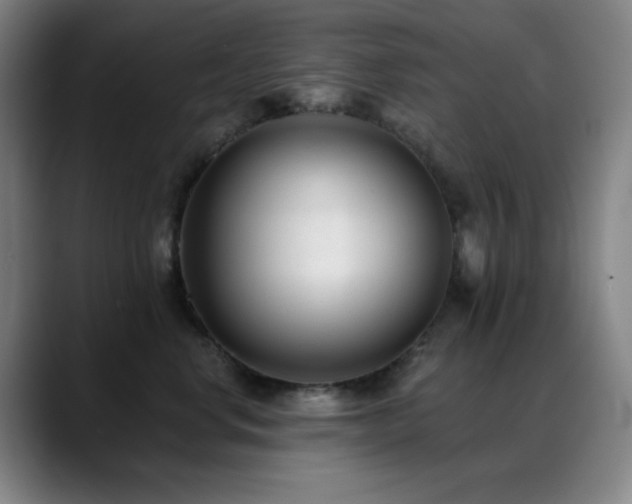 X0000089340668200706151044