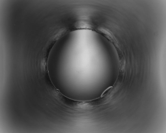 X0000089340669200706151044